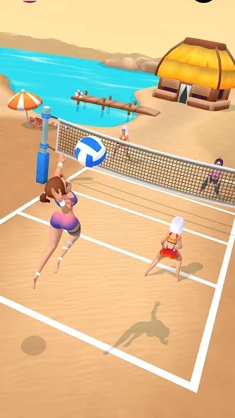 Beach Volleyball Game [MOD: безлимитные монеты и все уровни] Screenshot 1