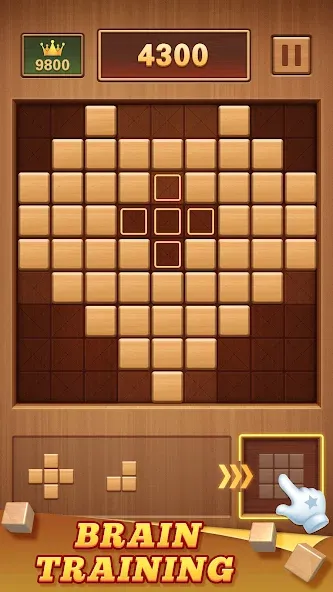 Wood Block 99 - Sudoku Puzzle [MOD: безлимитные ходы и подсказки] Screenshot 2