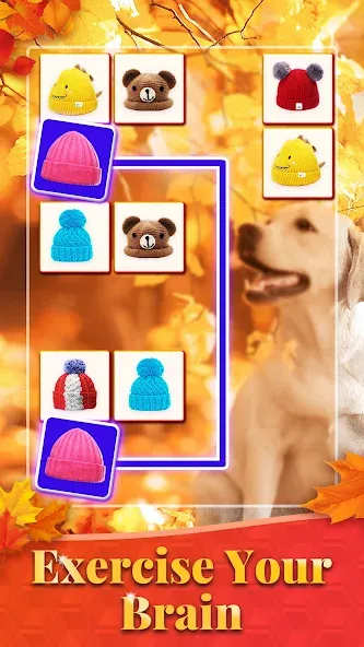 Onet 3D - Tile Matching Game [MOD: безлимитные подсказки и ходы] Screenshot 3