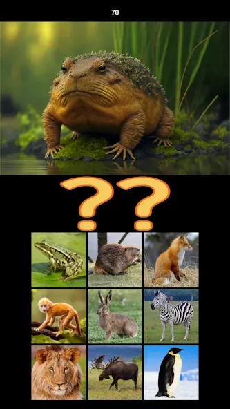 Hybrid Animals Crazy Lab Quiz [MOD: открыты все гибриды и подсказки] Screenshot 4