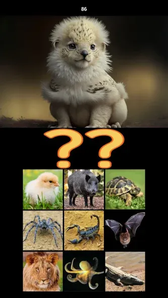 Hybrid Animals Crazy Lab Quiz [MOD: открыты все гибриды и подсказки] Screenshot 5