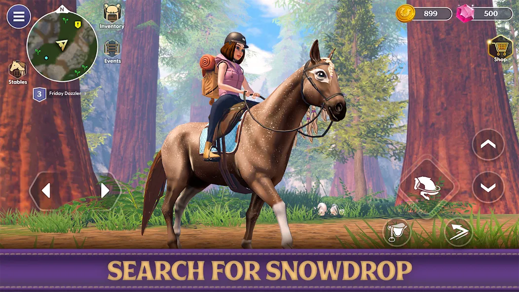 Star Equestrian - Horse Ranch [MOD: безлимитные монеты и ресурсов] Screenshot 3