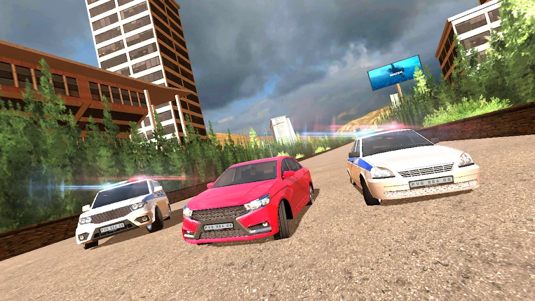 Police Car Chase [MOD: без рекламы и бесконечные деньги] Screenshot 3