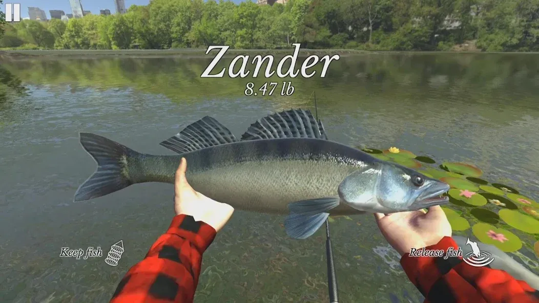 Ultimate Fishing Simulator [MOD: много денег и разблокированы снасти] Screenshot 2