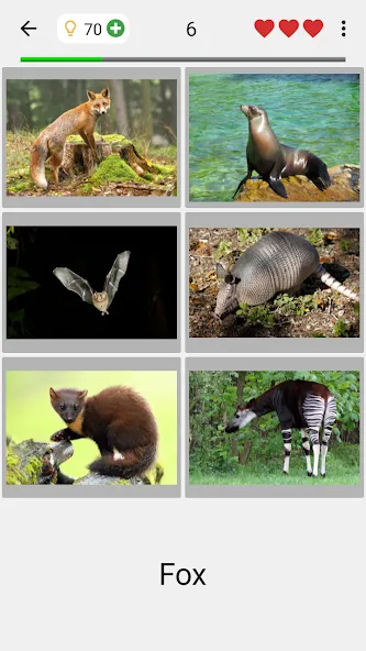 Animals Quiz Learn All Mammals [MOD: все млекопитающие разблокированы] Screenshot 2