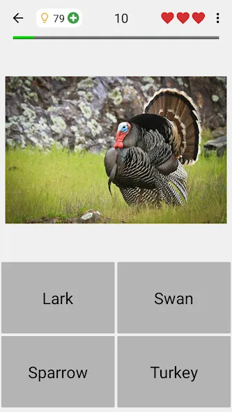 Animals Quiz Learn All Mammals [MOD: все млекопитающие разблокированы] Screenshot 4