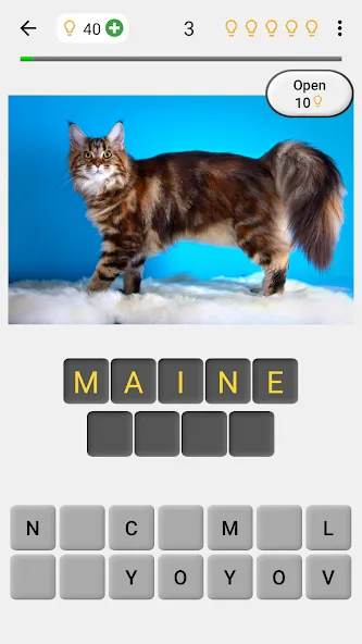 Cats Quiz Guess Popular Breeds [MOD: открыты все породы и подсказки] Screenshot 1