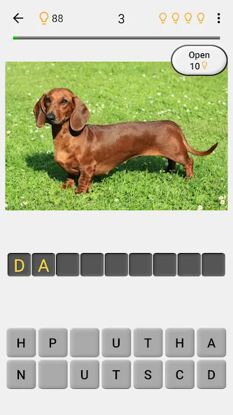 Dogs Quiz - Guess All Breeds! [MOD: все породы собак разблокированы] Screenshot 2