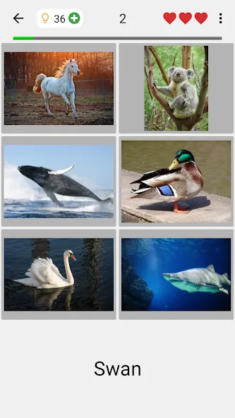 Guess Pictures and Words Quiz [MOD: открыты все уровни и подсказки] Screenshot 2