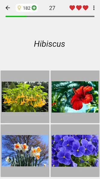 Flowers Quiz - Identify Plants [MOD: все растения разблокированы] Screenshot 4