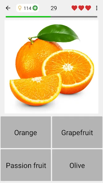 Fruit and Vegetables - Quiz [MOD: открыты все уровни и подсказки] Screenshot 4