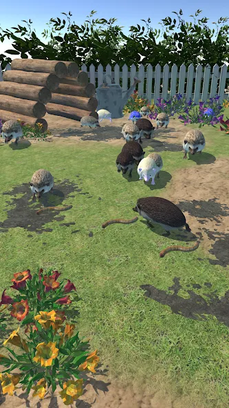 Hedgehog Friends [MOD: много монет и открыты все уровни] Screenshot 2
