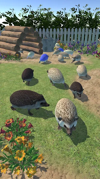 Hedgehog Friends [MOD: много монет и открыты все уровни] Screenshot 3