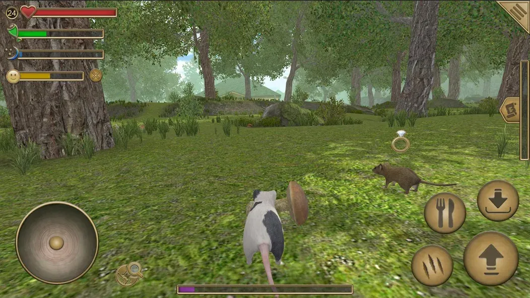 Mouse Simulator :  Forest Home [MOD: без рекламы и много ресурсов] Screenshot 1