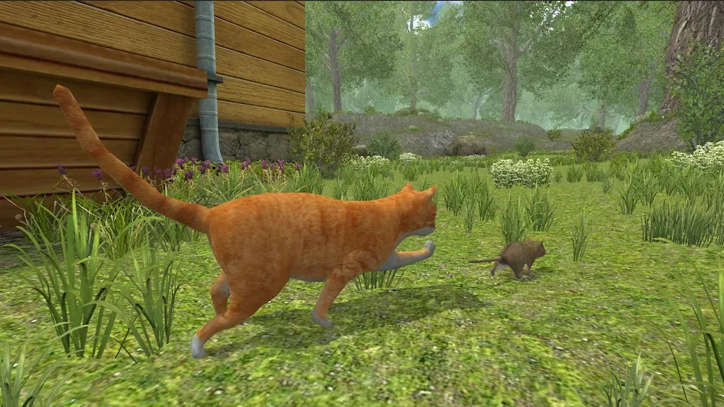 Mouse Simulator :  Forest Home [MOD: без рекламы и много ресурсов] Screenshot 3