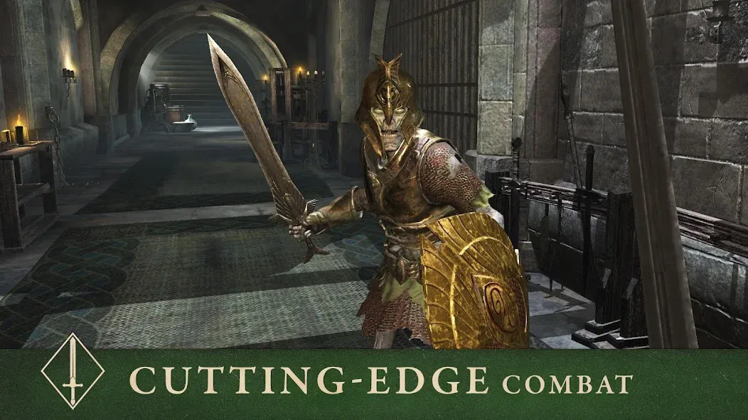 The Elder Scrolls: Blades [MOD: безлимитные деньги и ресурсы] Screenshot 5