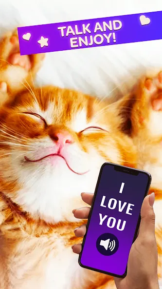 Cat Translator Pet Talk Meow [MOD: безлимитное общение с котами] Screenshot 3
