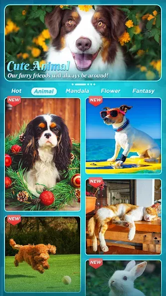 Jigsaw Puzzles [MOD: без рекламы и все пазлы открыты] Screenshot 5