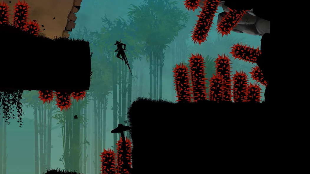 Ninja Arashi 2 [MOD: безлимитные деньги и бессмертие] Screenshot 1