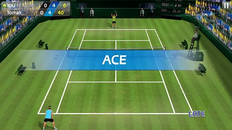 3D Tennis [MOD: безлимитные деньги и энергия] Screenshot 2