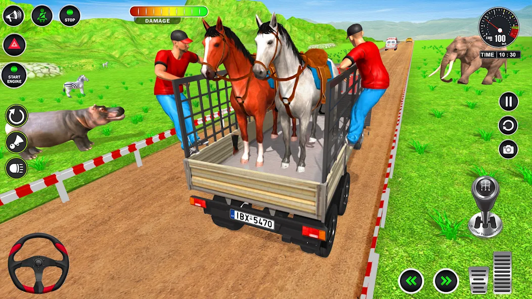 Animal Transport Truck Game 3D [MOD: безлимитные деньги и все животные открыты] Screenshot 4