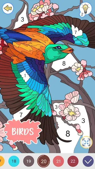 Color by Number: Coloring Book [MOD: без рекламы и всё разблокировано] Screenshot 4