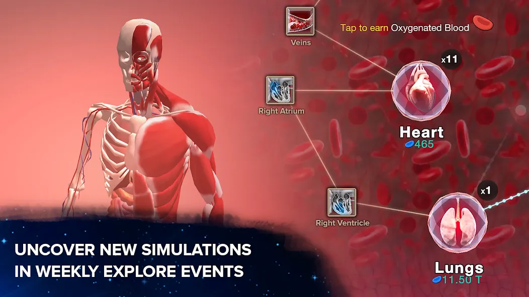 Cell to Singularity: Evolution [MOD: безлимитные ресурсы и ускоренная эволюция] Screenshot 1