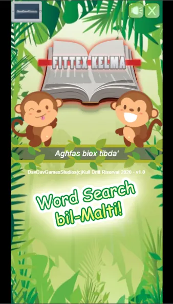 Fittex Kelma [MOD: безлимитные подсказки и открыты все слова] Screenshot 1