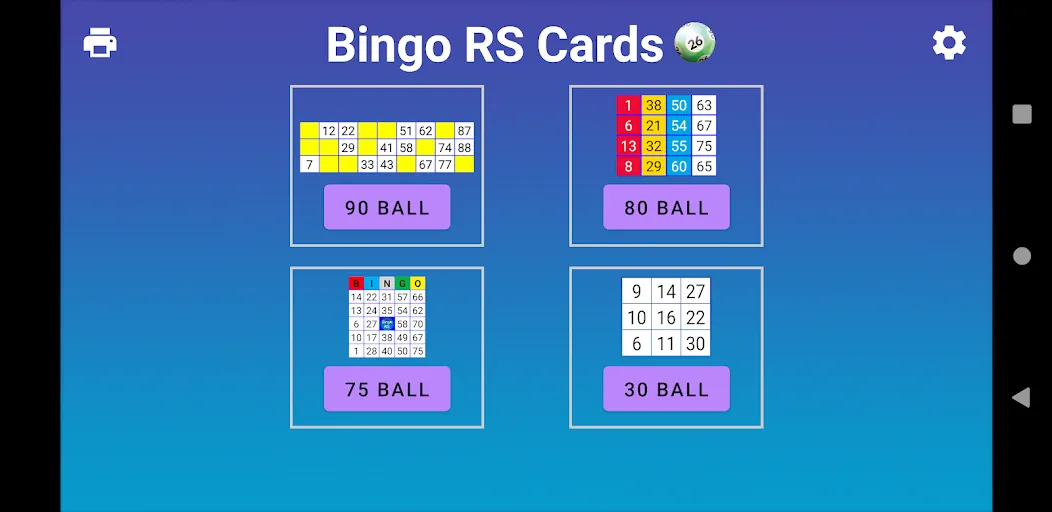 Bingo RS Cards [MOD: без рекламы и бесконечные монеты] Screenshot 1