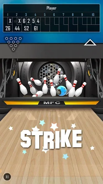 Bowling 3D Pro [MOD: безлимитные монеты и все шары] Screenshot 2