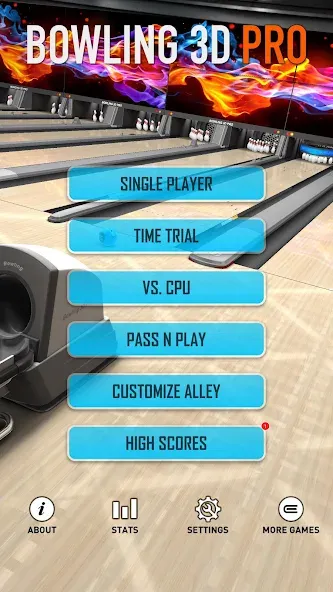 Bowling 3D Pro [MOD: безлимитные монеты и все шары] Screenshot 4