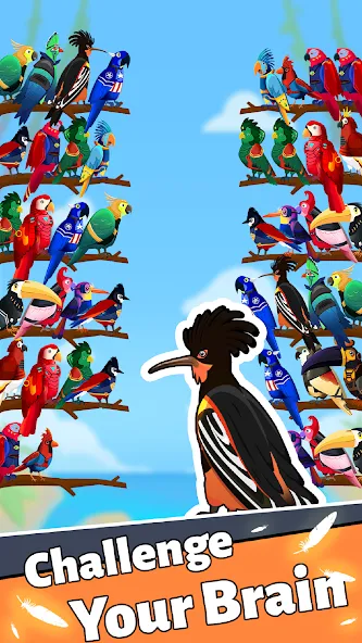 Bird Puzzle - Color Game [MOD: без рекламы и все уровни открыты] Screenshot 2