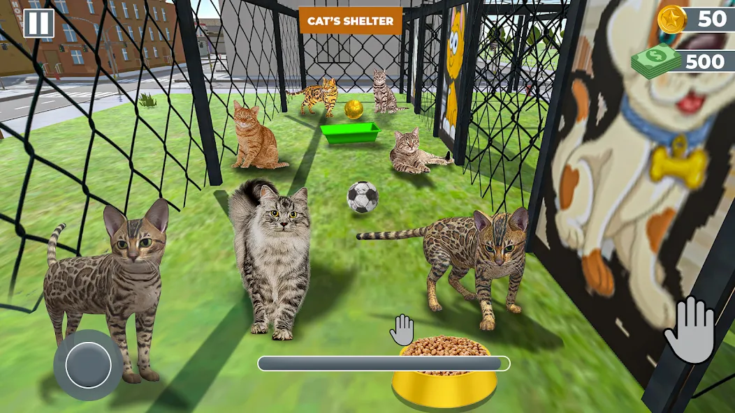 Animal Shelter: Pet Rescue 3D [MOD: безлимитные деньги и питомцы открыты] Screenshot 2