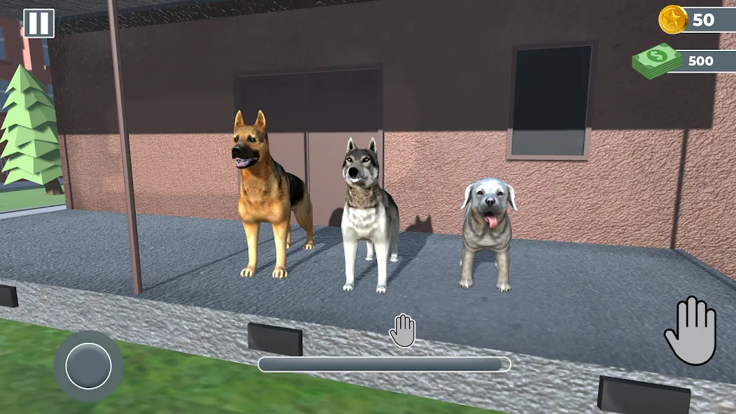 Animal Shelter: Pet Rescue 3D [MOD: безлимитные деньги и питомцы открыты] Screenshot 3