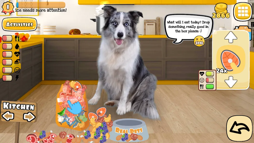 Adopt a pet : Corgi Games [MOD: безлимитные монеты и питомцы] Screenshot 1