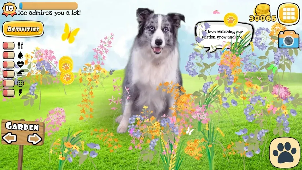Adopt a pet : Corgi Games [MOD: безлимитные монеты и питомцы] Screenshot 4