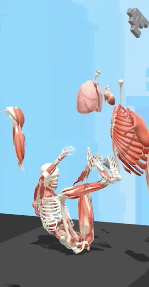 Human Run [MOD: безлимитные деньги и ускоренный бег] Screenshot 2