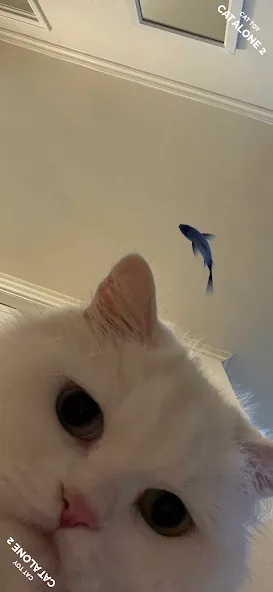 CAT ALONE 2 - Cat Toy [MOD: новые игрушки и режимы игры] Screenshot 2