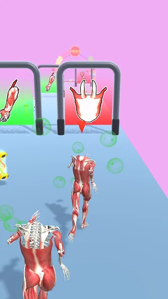 Human Evolution Run [MOD: много денег и алмазов] Screenshot 1