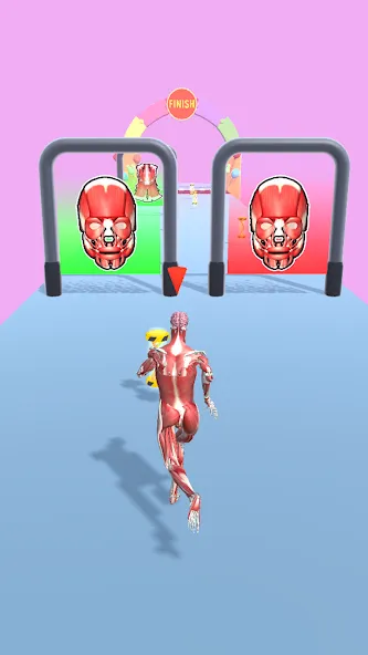 Human Evolution Run [MOD: много денег и алмазов] Screenshot 5