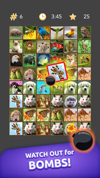 Onnect - Pair Matching Puzzle [MOD: подсказки доступны без ограничений] Screenshot 5