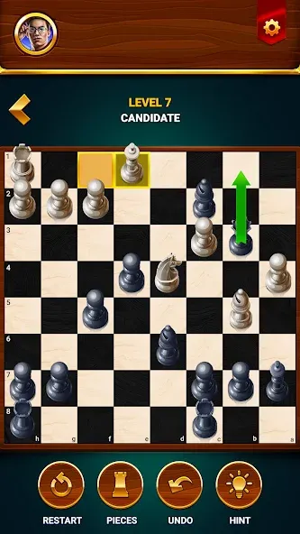 Chess - Offline Board Game [MOD: без рекламы и подсказки доступны] Screenshot 5