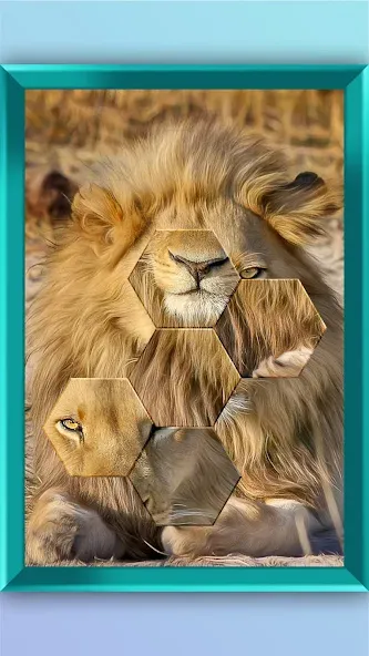 Jigsaw Puzzle - Jigsort Master [MOD: безлимитные подсказки и открыты все уровни] Screenshot 2