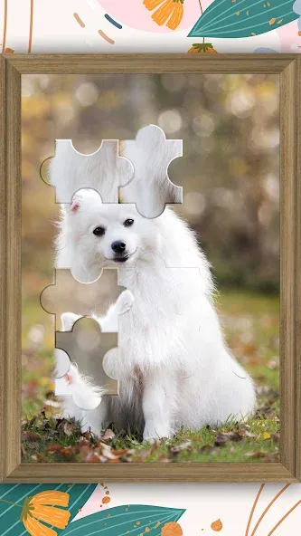 Jigsaw Puzzle - Jigsort Master [MOD: безлимитные подсказки и открыты все уровни] Screenshot 3