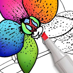Coloring for adults offline [MOD: все раскраски разблокированы офлайн] на Андроид