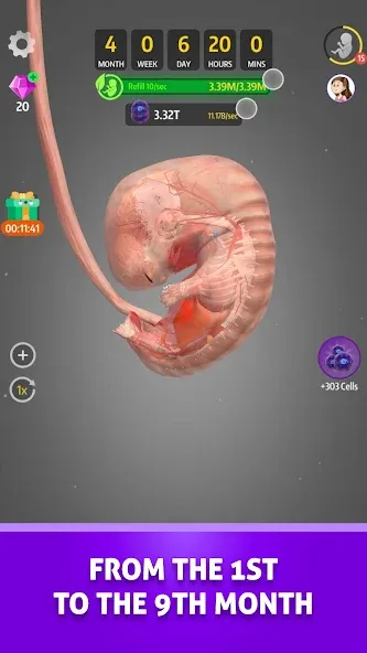 Idle 9 Months [MOD: безлимитные деньги и ускоренная беременность] Screenshot 3