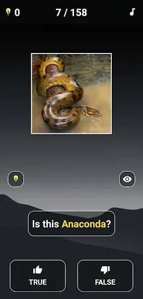 Animal Quiz: Guess the Animal [MOD: все животные разблокированы и подсказки бесконечны] Screenshot 3
