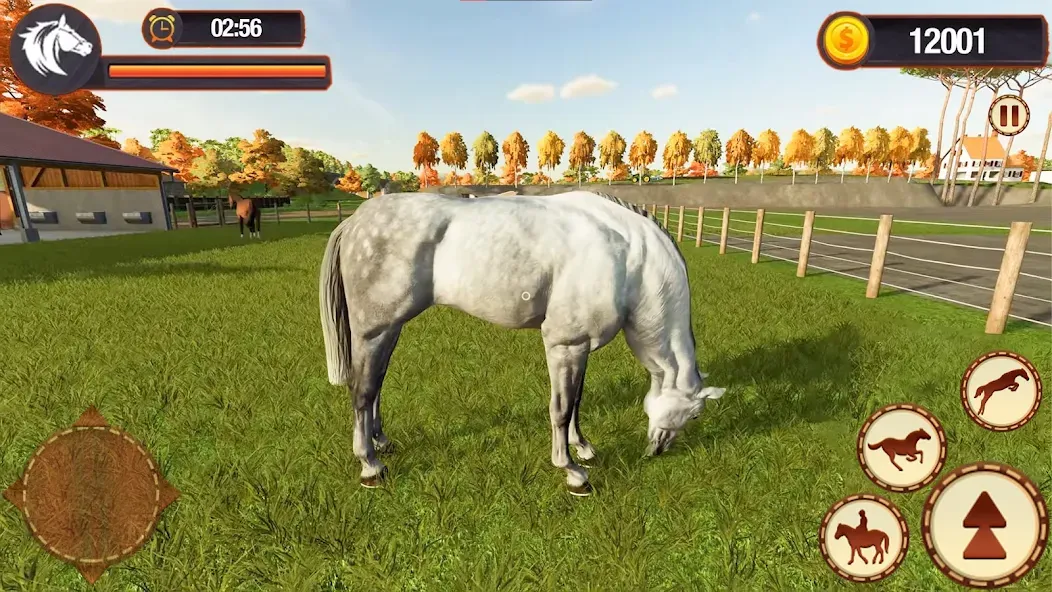 My Horse Herd Care Simulator [MOD: бесконечные монеты и всё открыто] Screenshot 5