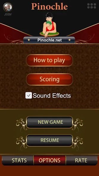 Pinochle.Net [MOD: разблокированы все функции и карты] Screenshot 2