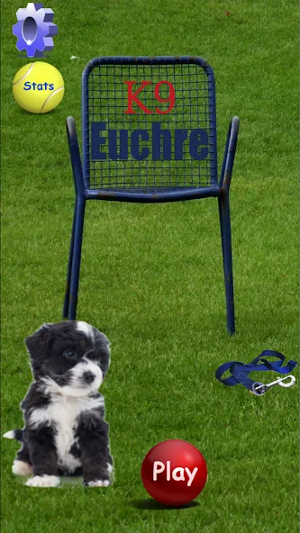 K9 Euchre [MOD: безлимитные подсказки и быстрый прогресс] Screenshot 1